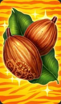 Cacao Seeds